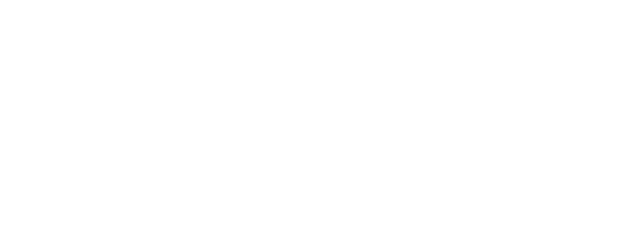 BOL Group Logo